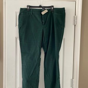 NWT Ann Taylor skinny jeans in hunter green